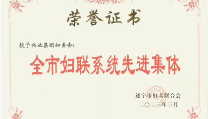 喜報(bào)！興業(yè)集團(tuán)婦委會(huì)榮獲“全市婦聯(lián)系統(tǒng)先進(jìn)集體”榮譽(yù)稱號(hào)
